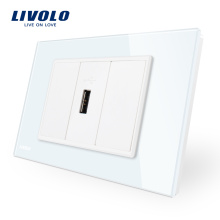 Livolo Smart Home Outlet Elektrischer Stecker und USB-Buchse VL-C91U-11/12